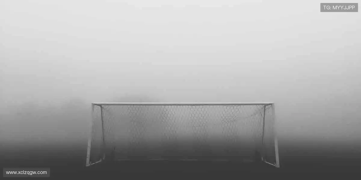 高清直播,实时互动,身临其境!🎯